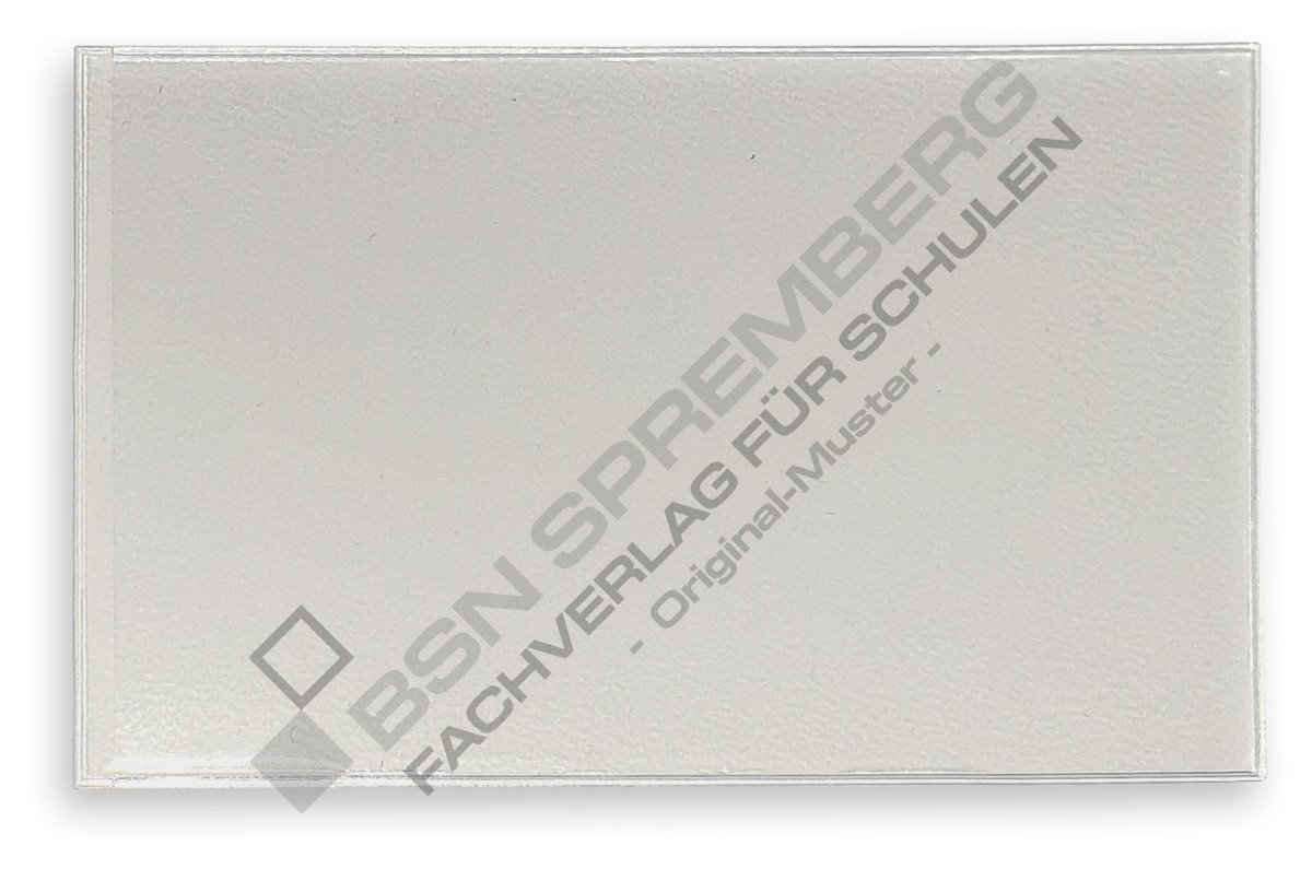 100 Kartenhüllen Für PSA-gradierte Platten – Klar, Wiederverschließbar, Säurefrei, Perfekte Passform