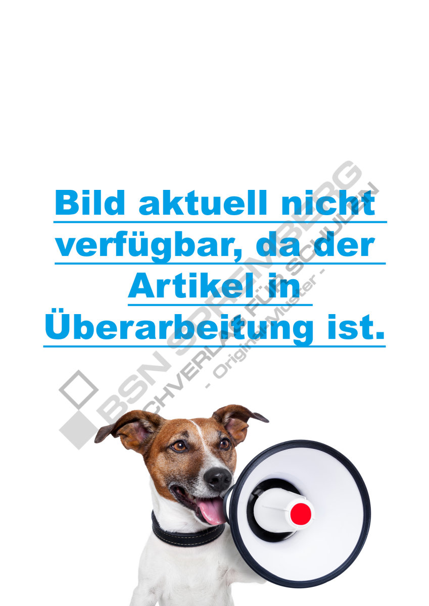 Bericht Mitteilung 6 Buchstaben
