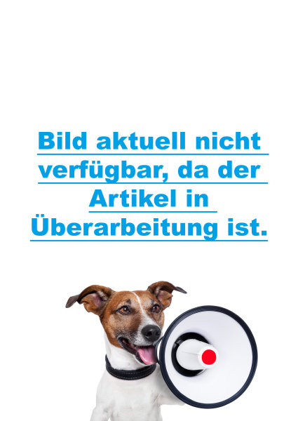 Mitteilung der schriftlichen Abiturprüfungsfächer