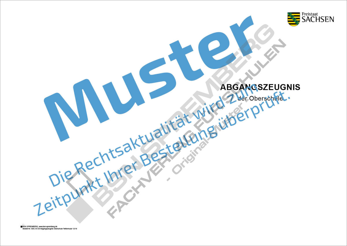 VictoryStore Hollywood-Buchstaben Aus Kunststoff – 45,7 Cm Groß, Weiß, Mit Heringen, 9 Stück
