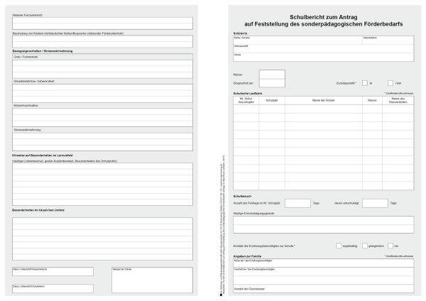 Schulbericht zum Antrag auf