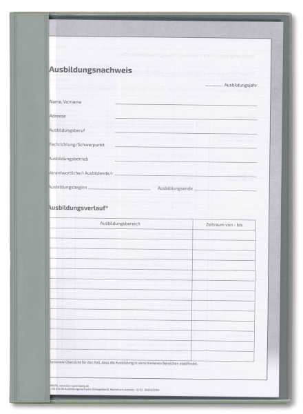Ausbildungsnachweis Komplett-Set für ein Berufsbildungsjahr, mit täglichem Nachweis und Wochenbericht (2xNachweisblock, Schnellhefter silbergrau, Deckblatt grün)