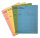 Lernmittel - Bestandskarte, verschiedene Farben, DIN A6