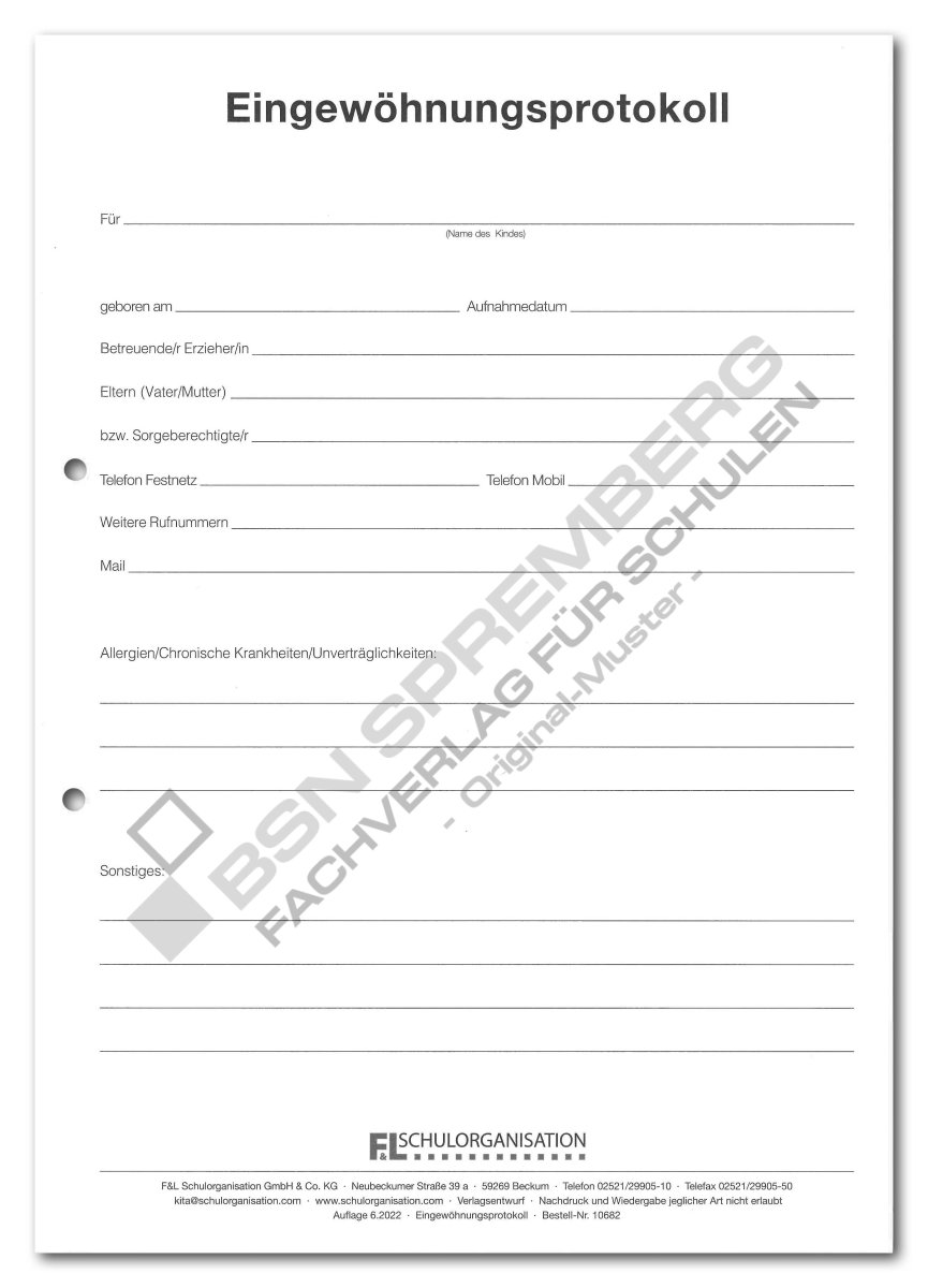 Natürliche Muschelknöpfe 10 Stück - Einzigartige Muster Für Modedesign & Bastelprojekte