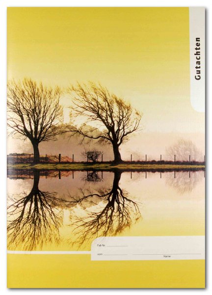 F&L Sonderpädagogische Gutachten, Leitfaden und Faktensammlung