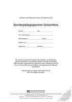 F&L Sonderpädagogische Gutachten, Leitfaden und Faktensammlung