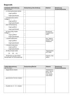 F&L Sonderpädagogische Gutachten, Leitfaden und Faktensammlung