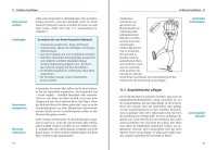 F&L Handbuch Kita leiten