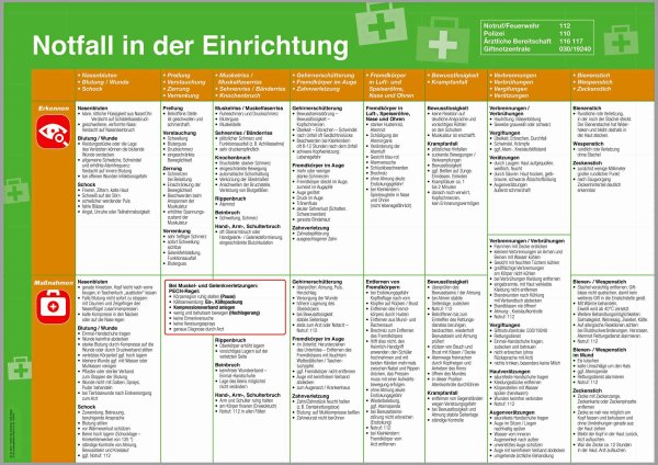 Aushang Notfall in der Einrichtung, für Kita und Schule, DIN A2