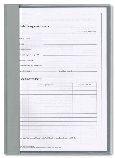 Komplett-Set für 1 Jahr  handwerkliche Berufsausbildung (Block für den Ausbildungsnachweis mit täglichem Eintrag Mo-Sa ohne Wochenbericht, Schnellhefter silbergrau, Deckblatt grün)