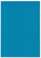 F&L Schülerdaten, Ergebnisse, Versäumnisse