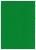 F&L Kursheft 1 Kurshalbjahr, grün