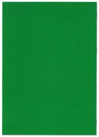 F&L Kursheft, 2 Kurshalbjahre, grün