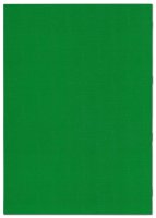 F&L Kursheft, 2 Kurshalbjahre, grün