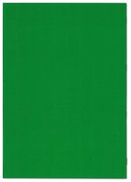 F&L Kursbuch - Differenzierungsbereich, grün