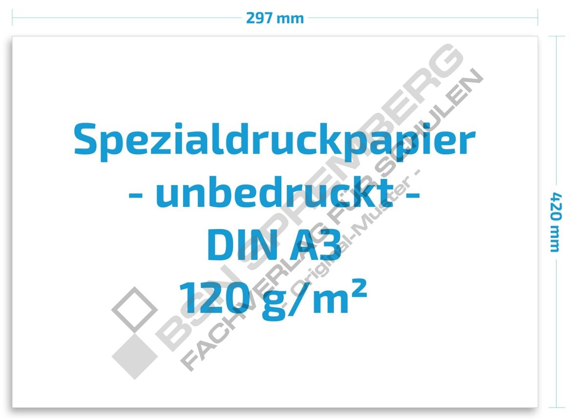 Spezial-Druckpapier unbedruckt, DIN A3, 120g/qm - 50095100 - BSN SPRE