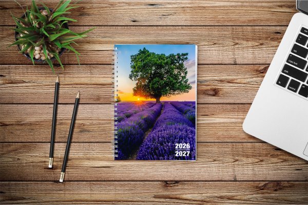 F&L Lehrerkalender Kompaktplaner Ausgabe 2026/2027, Spiralbindung, DIN A5, Motiv