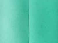 Überreichungsmappe grasgrün, Titel u. Rahmen schwarz, genarbter Karton