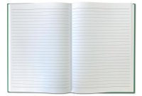 F&L – Protokollbuch DIN A4, liniert, grün