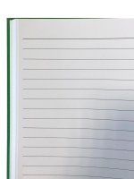 F&L – Protokollbuch DIN A4, liniert, grün